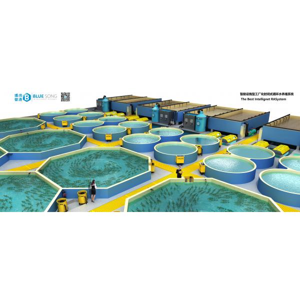 節能設施型工廠化循環水養殖系統